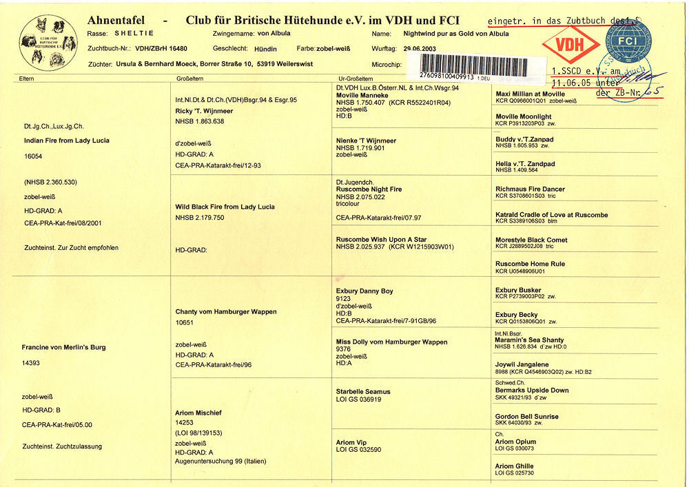 Ahnentafel (Chipsy) Nightwind pur as Gold von Albula
