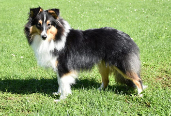 (Hailey) Oxana my little Darling on the Spirit of Cologne