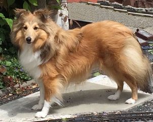 (Hope) Glimmer of Hope on the Spirit of Cologne