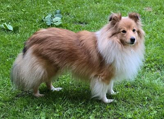 Lady Key from my Heart on the Spirit of Cologne