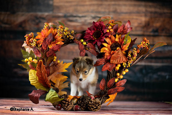 (Ellie) Naomi´s Never Ending Story