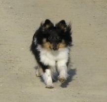 Ashley Black Fire Dezember 2007