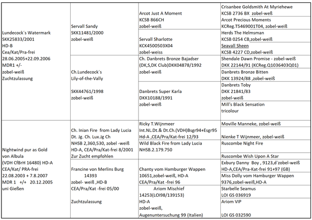 Ahnentafel B-Wurf 2007
