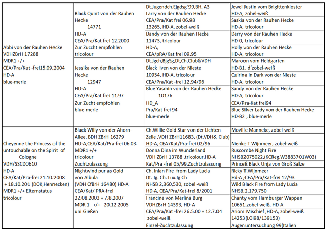 Ahnentafel D-Wurf 2010